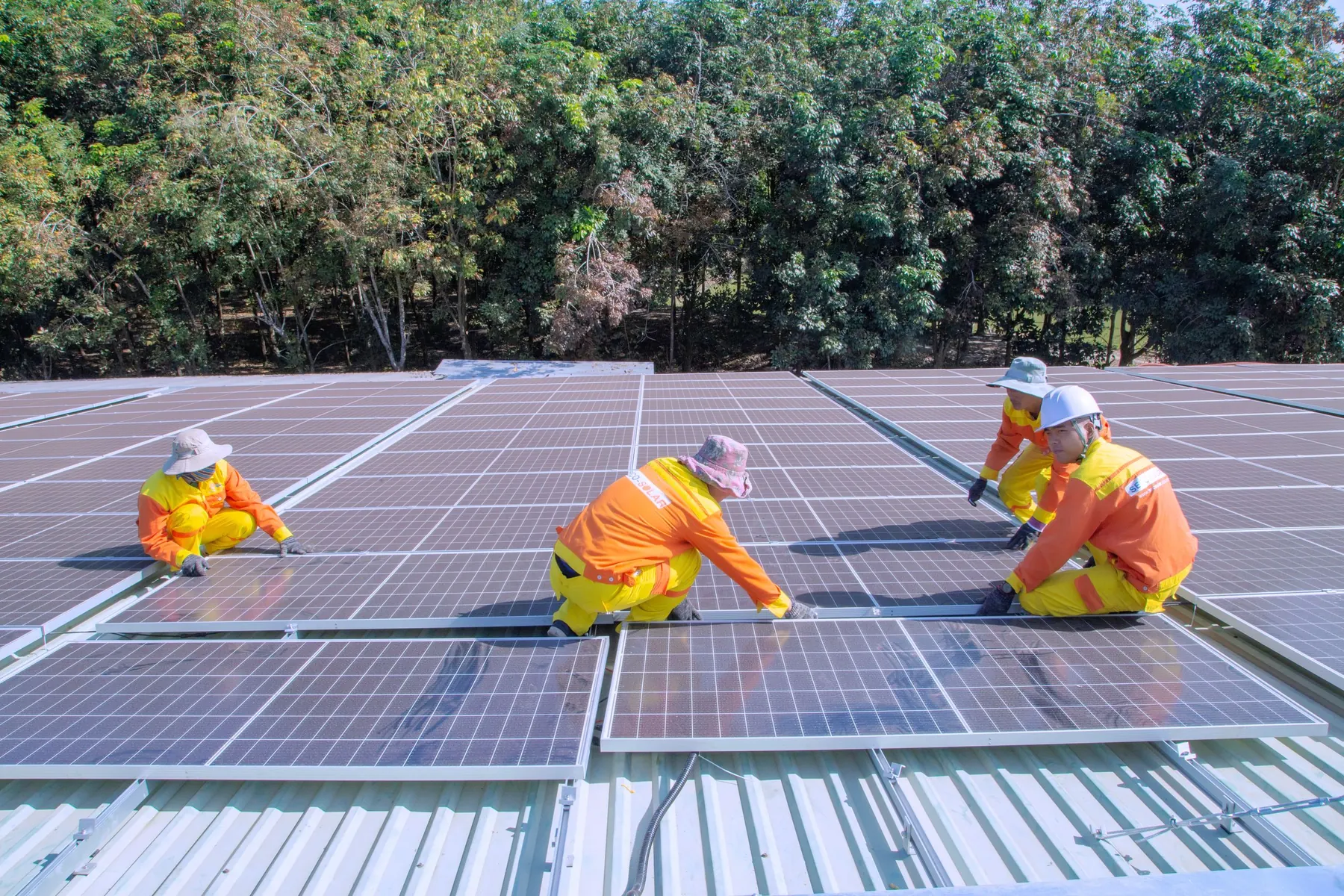 Installers in safety gear laying solar panels on a metal roof